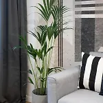 Superb Large 1br Flat - Unirii Square - 610b * Bükreş